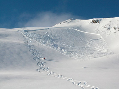 Poker or Chess? Forecasting avalanches and guiding in British Columbia’s backcountry Poker or Chess? Forecasting avalanches and guiding in British Columbia’s backcountry